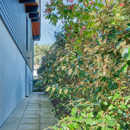 La Lisiere Des Pins By Interhome *